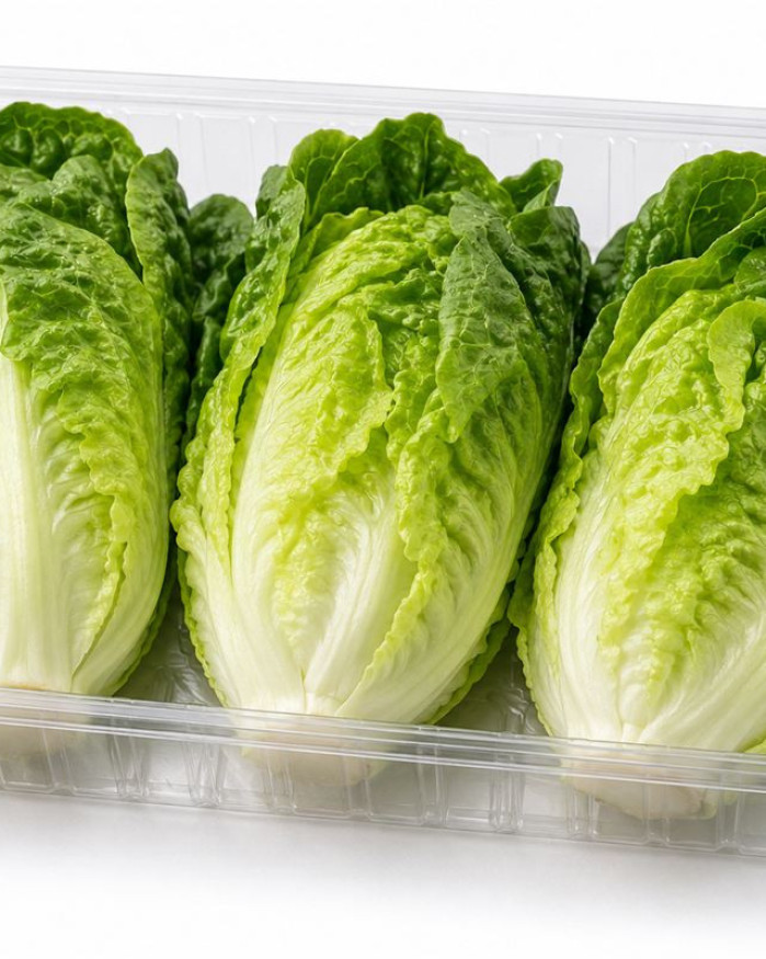 salade sucrine (de 3 têtes) PROMO 2 paquets 2€