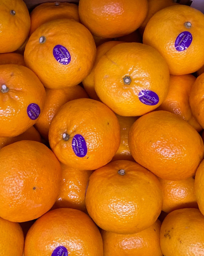 clémentine Jaffa D ISRAEL 2 kilos 6€