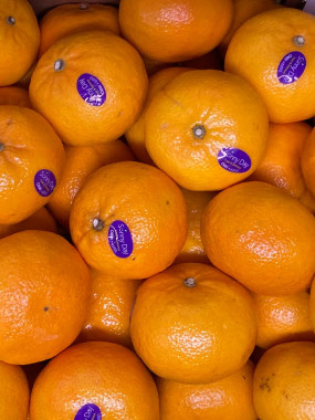 clémentine Jaffa D ISRAEL 2 kilos 6€