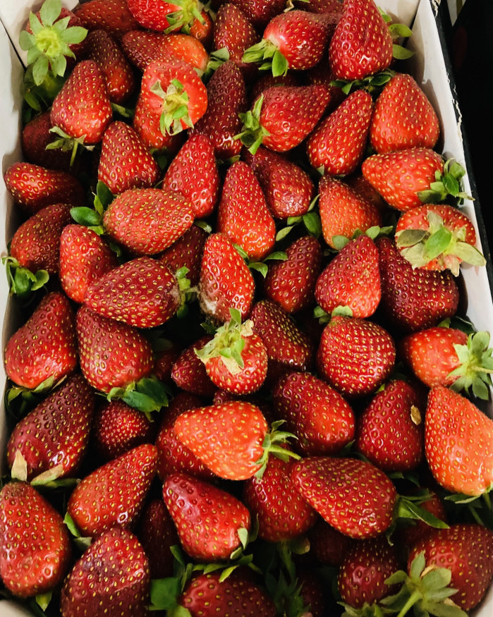 fraise garriguette à confiture 2 kilos 8€