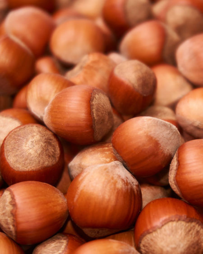 noisette de chez brigitte