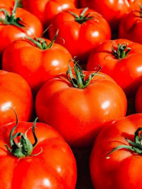 tomate à farcir