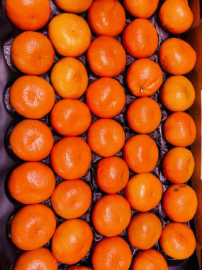 clémentine maroc 2 KILOS 5€