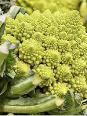 chou romanesco