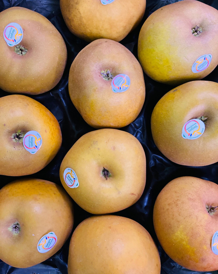 canada grise de chez brigitte