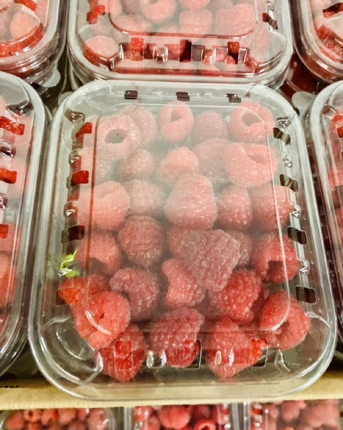 FRAMBOISE  2 barquettes pour 5€