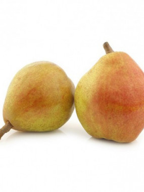 poire comice 