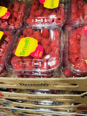 Framboises à confiture 10€ le colis de 12 barquettes (soit 1kilo500gr)