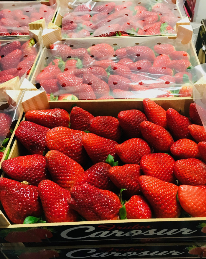 fraise plateau à confiture 5 kilos !!