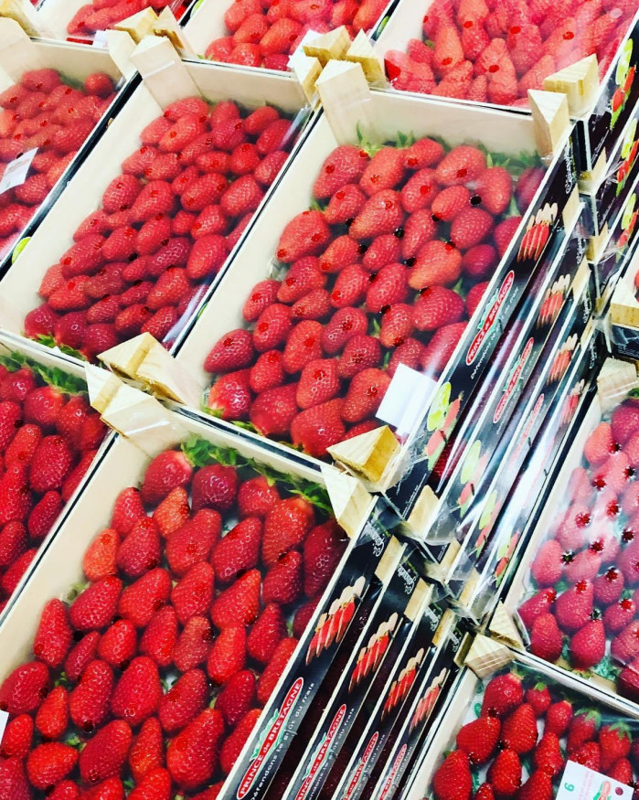 fraise de plougastel chezbrigitte-versailles.com