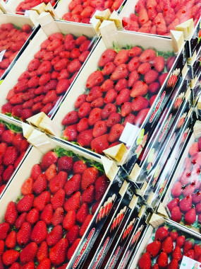 FRAISE de PLOUGASTEL 800GR PROMO