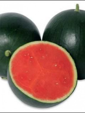 PASTEQUE sans pepins