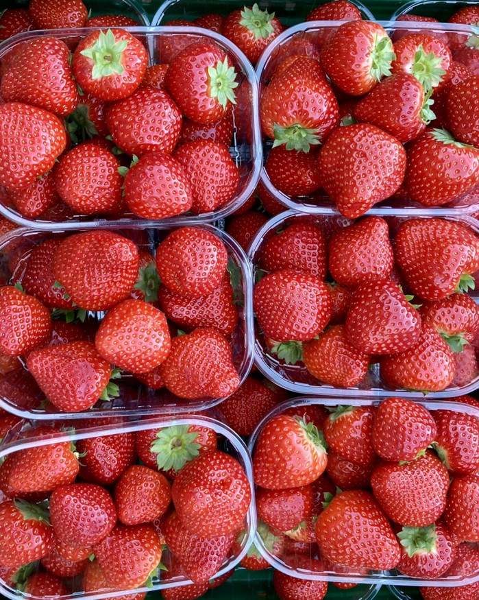 FRAISE ronde de plougastel  250gr 3barquettes 6€