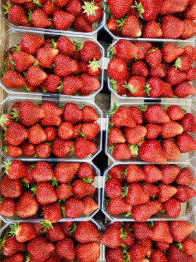 fraise france LA DREAM 500 GR 2 barquettes 6€