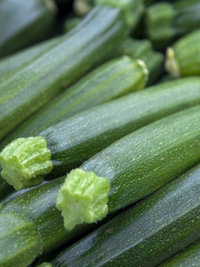 courgette