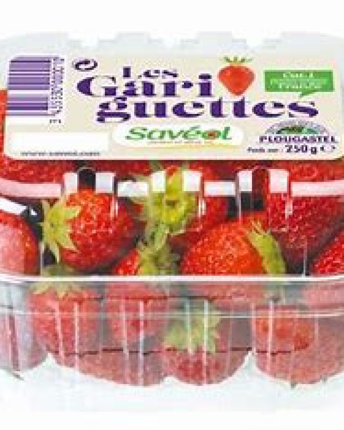 FRAISE GARIGUETTE  2 barquettes 8€ PLOUGASTEL