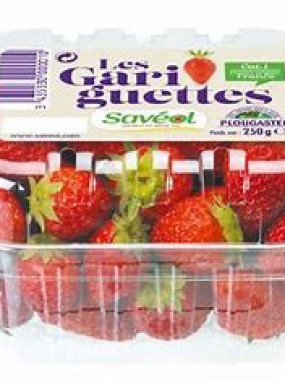 FRAISE GARIGUETTE  2 barquettes 8€ PLOUGASTEL