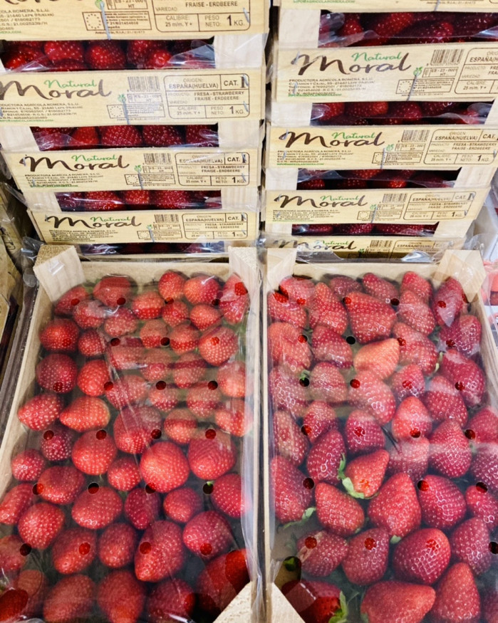 fraise espagne gustative plateau 1kilo