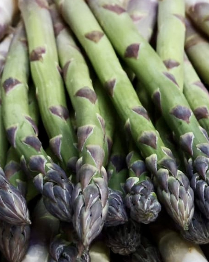 asperges VERTES 