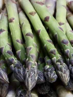 asperges VERTES france 