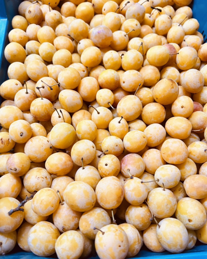 prune MIRABELLE 
