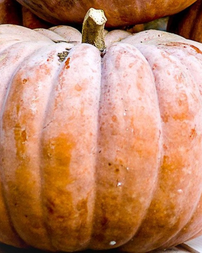 potiron à la pièce