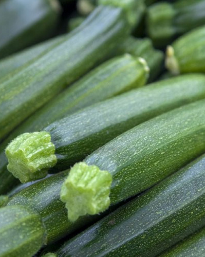 courgette PROMO 2 KILOS 5€