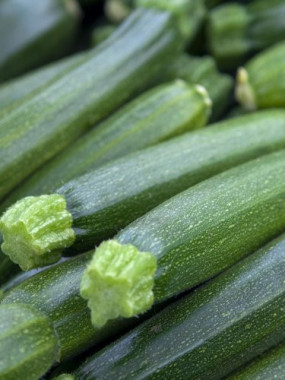 courgette PROMO 2 KILOS 5€