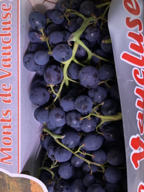 raisin noir France muscat aoc 