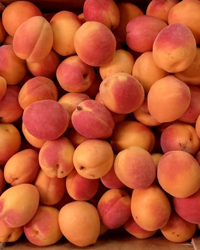 ABRICOT   2 kilos 6€ 
