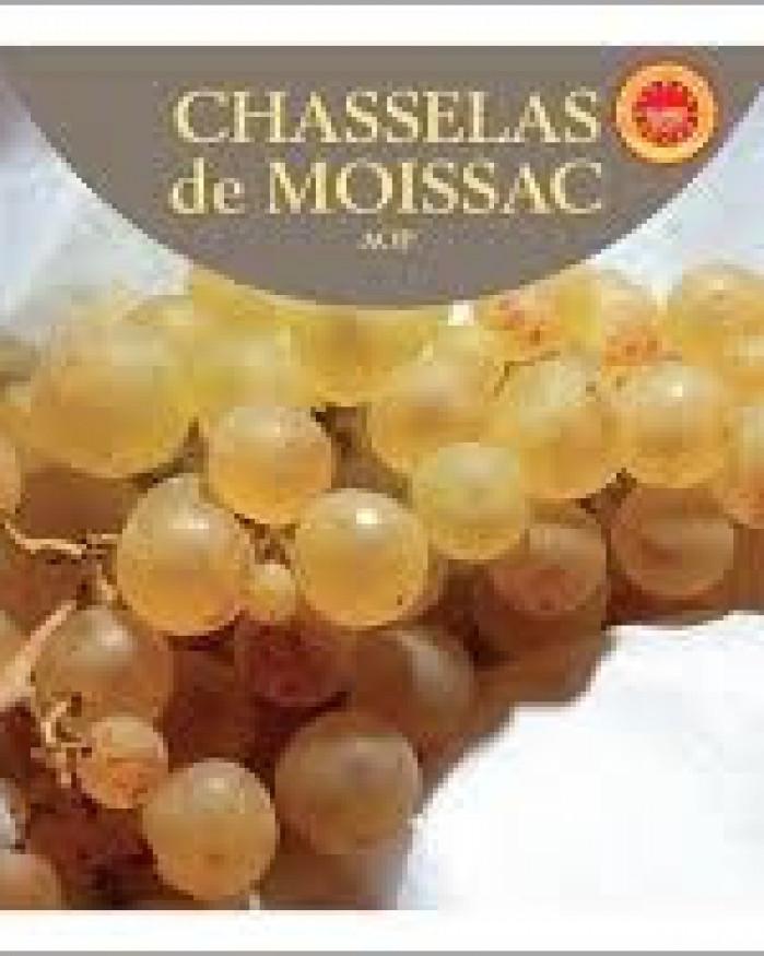 raisin CHASSELAS 