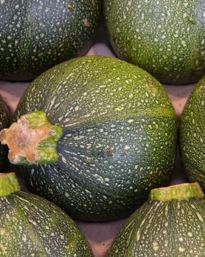 courgette ronde promo 2 kilos 6€