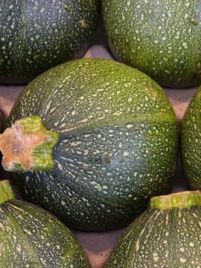 courgette ronde promo 2 kilos 6€