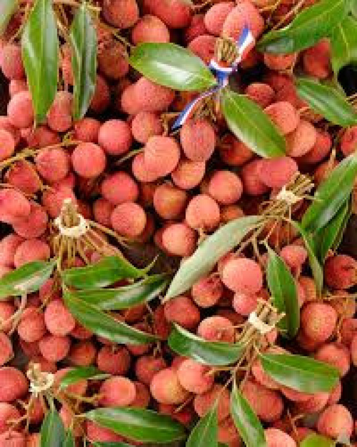 litchis vrac 