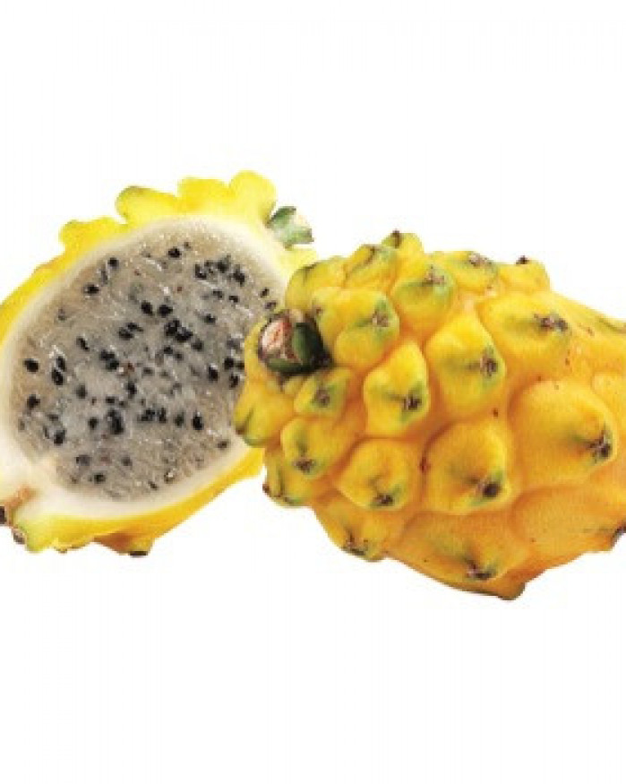 Pitaya jaune fruit du dragon 
