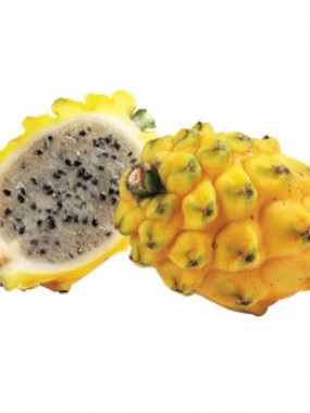 Pitaya jaune fruit du dragon 