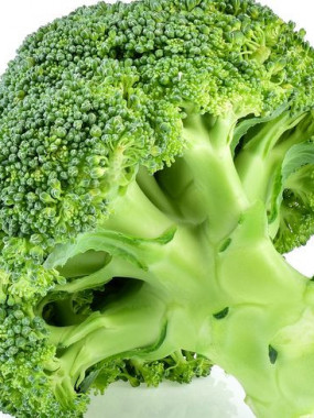 brocoli 