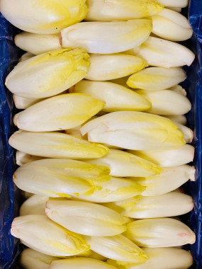 endive 2 KILOS 5€