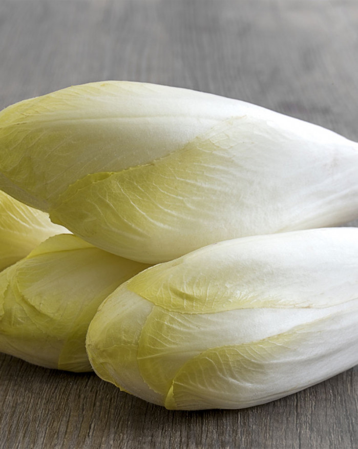 endive extra 