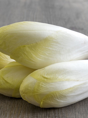 endive 