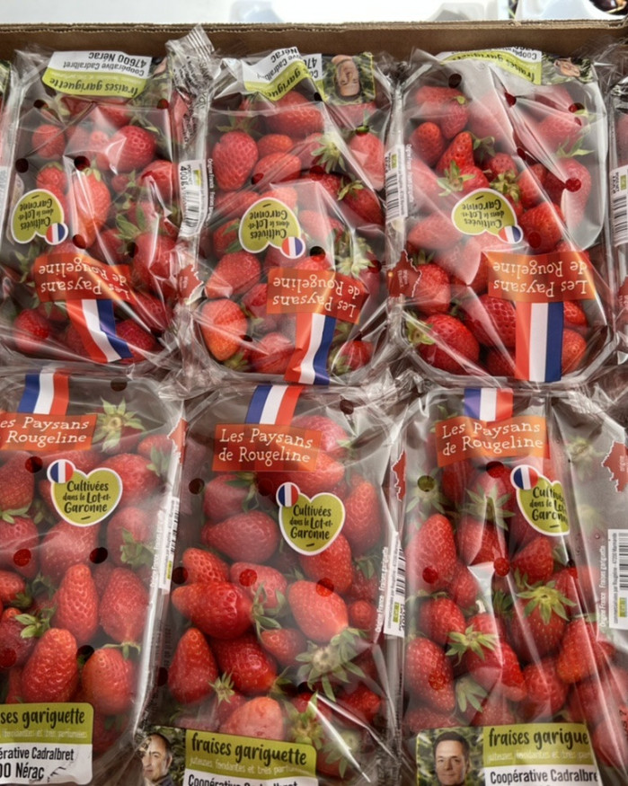 FRAISE FRANCE 500gr charlotte 2 barquettes 6€ soit 1 kilo