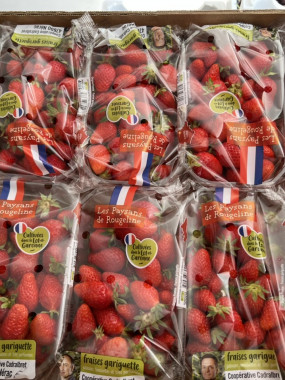 FRAISE FRANCE 500gr charlotte 2 barquettes 6€ soit 1 kilo