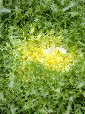 frisée fine 