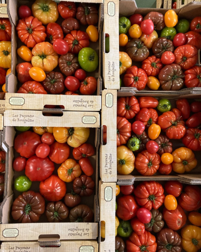 TOMATES ANCIENNES multicolore au colis 3.5 kilos