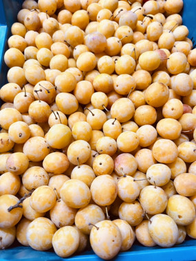 prune MIRABELLE petite 2 kilos 8€