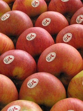 pomme royal gala grosse  2 kilos 6€