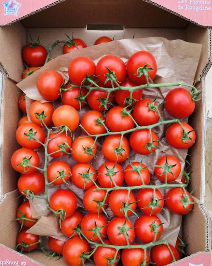 TOMATE COCKTAIL GRAPPE  LE COLIS DE 4 KILOS