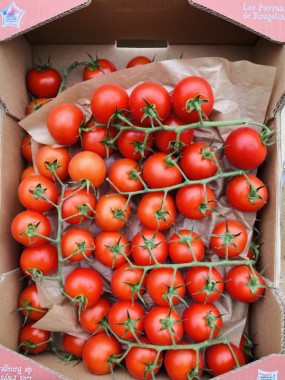 TOMATE COCKTAIL GRAPPE  LE COLIS DE 4 KILOS