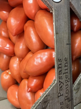 TOMATE CORNUE DES ANDES PROMO 2 KILOS 6€