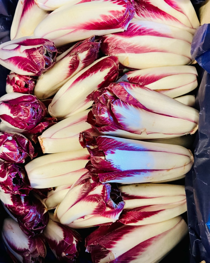 endive rouge carmine